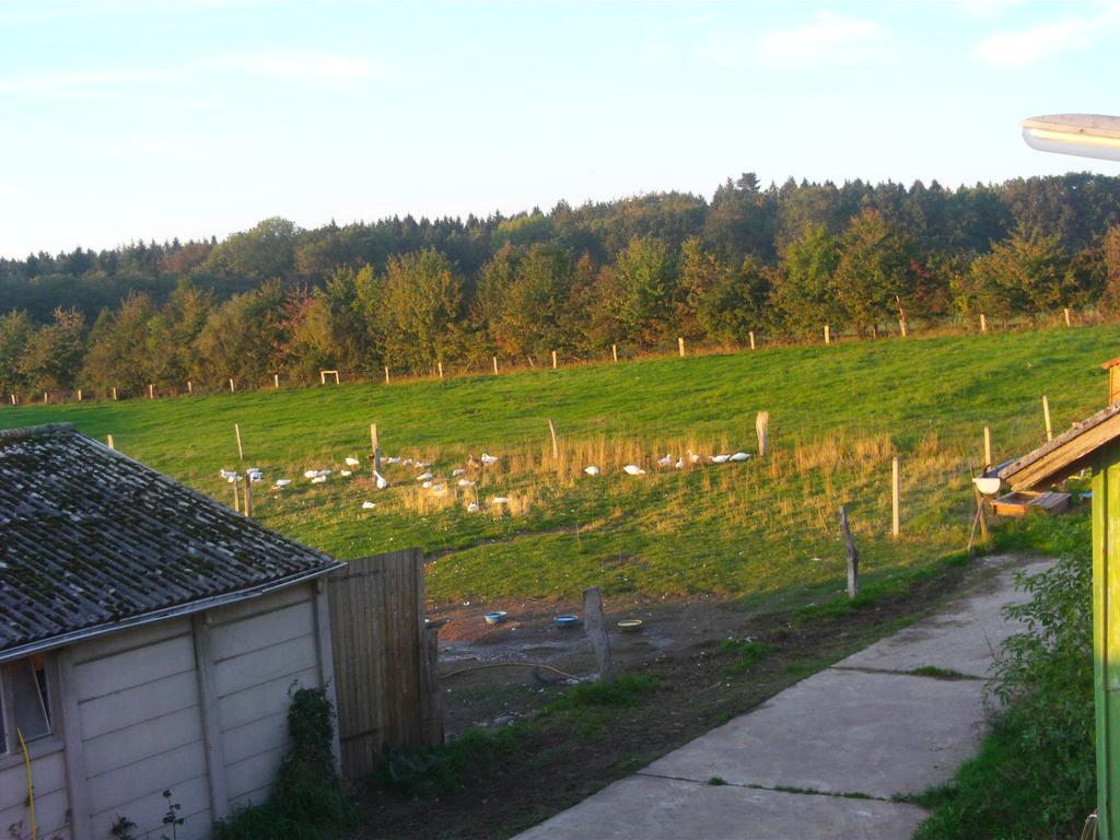Hof Beuck